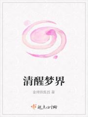 清醒梦界