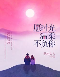 超狂女婿