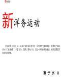 新洋务运动
