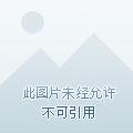 大纨绔