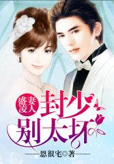 盛妻凌人:封少,别太坏!