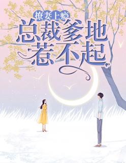 撩妻上瘾:总裁爹地惹不起