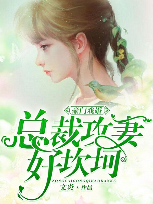 豪门戏婚:总裁攻妻好坎坷